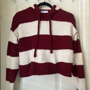 Arizona Cropped Stripe Hoodie